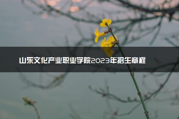 山东文化产业职业学院2023年招生章程