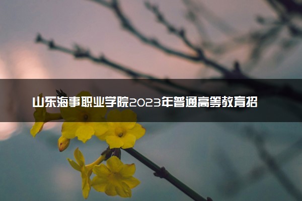 山东海事职业学院2023年普通高等教育招生章程