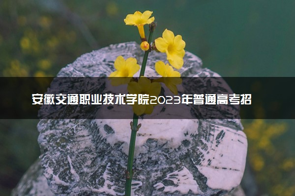 安徽交通职业技术学院2023年普通高考招生章程