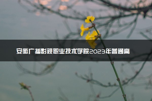 安徽广播影视职业技术学院2023年普通高考招生简章