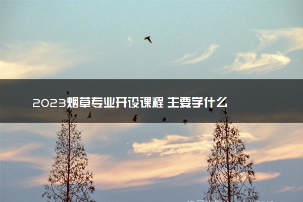 2023烟草专业开设课程 主要学什么