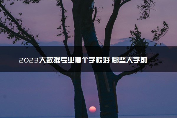 2023大数据专业哪个学校好 哪些大学前景还不错