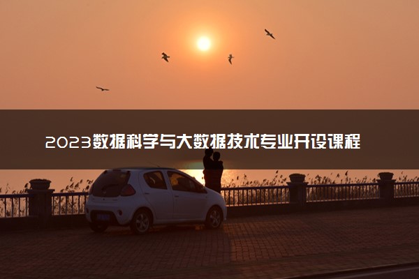 2023数据科学与大数据技术专业开设课程 主要学什么