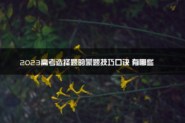 2023高考选择题的蒙题技巧口诀 有哪些小窍门