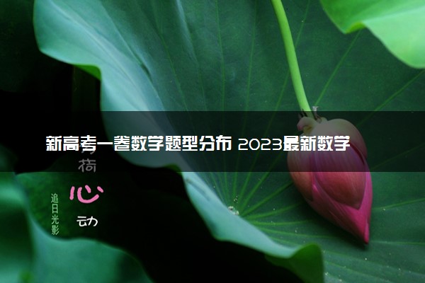 新高考一卷数学题型分布 2023最新数学答题技巧