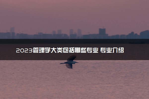 2023管理学大类包括哪些专业 专业介绍