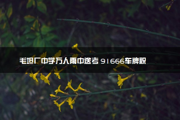 毛坦厂中学万人雨中送考 91666车牌祝福考生金榜题名
