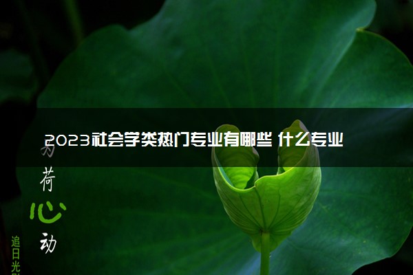 2023社会学类热门专业有哪些 什么专业比较好