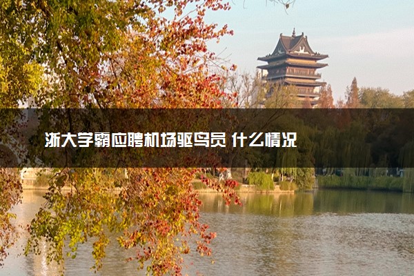 浙大学霸应聘机场驱鸟员 什么情况