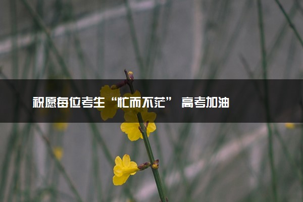 祝愿每位考生“忙而不茫” 高考加油
