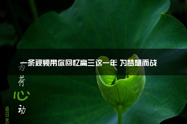 一条视频带你回忆高三这一年 为梦想而战