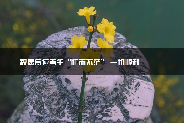 祝愿每位考生“忙而不茫” 一切顺利