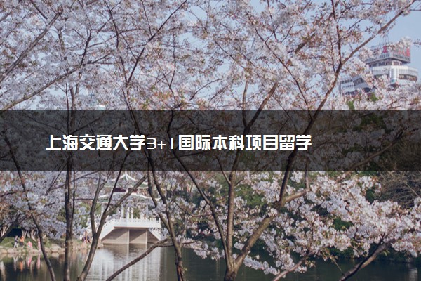 上海交通大学3+1国际本科项目留学
