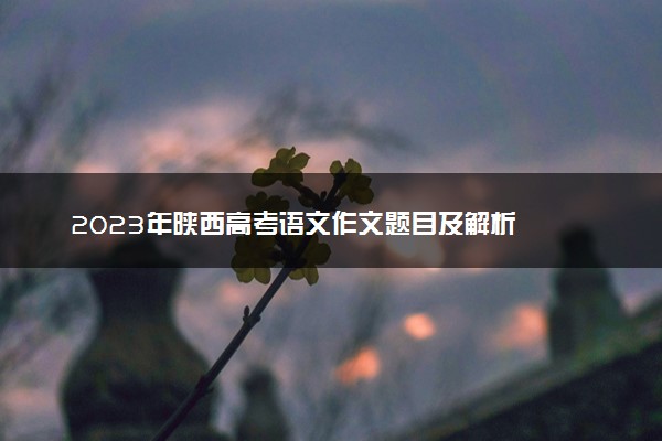 2023年陕西高考语文作文题目及解析