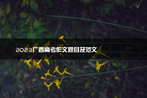 2023广西高考作文题目及范文