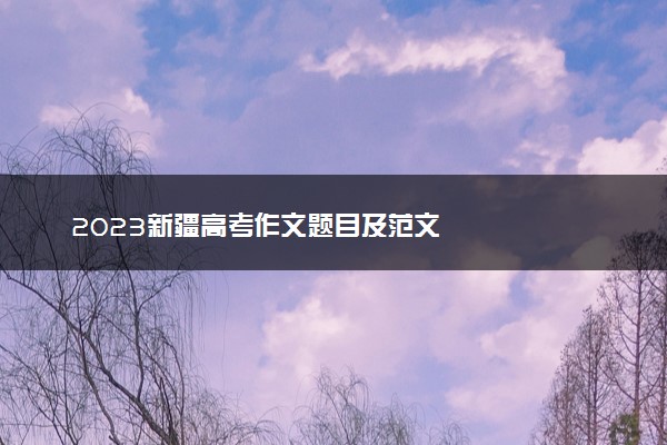 2023新疆高考作文题目及范文