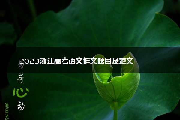 2023浙江高考语文作文题目及范文