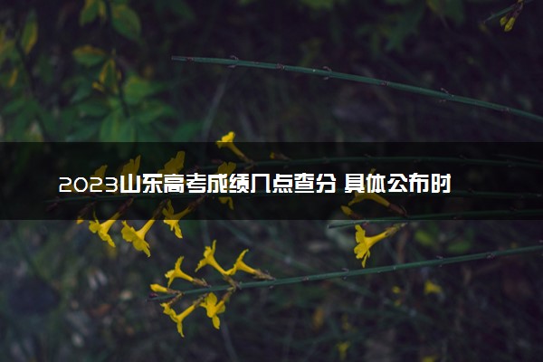 2023山东高考成绩几点查分 具体公布时间及查分方式
