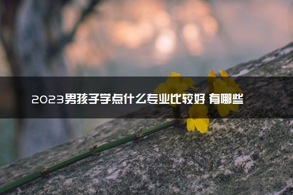 2023男孩子学点什么专业比较好 有哪些热门专业