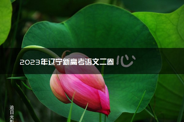 2023年辽宁新高考语文二卷