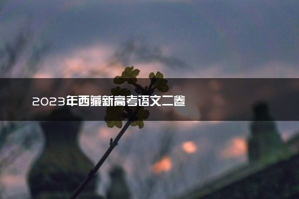 2023年西藏新高考语文二卷