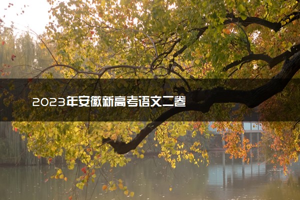 2023年安徽新高考语文二卷