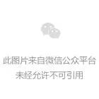 2023高考全国卷语文作文题（4道）