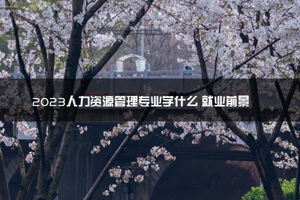 2023人力资源管理专业学什么 就业前景怎么样