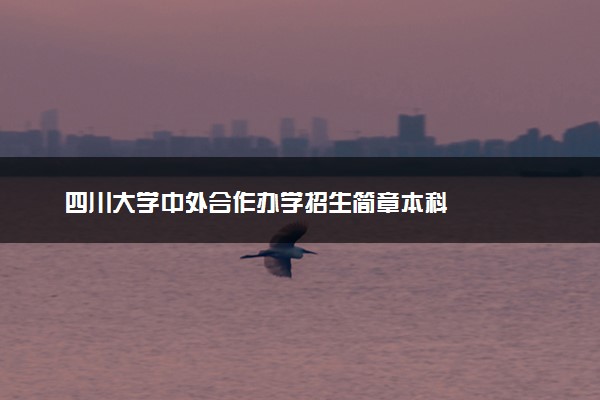 四川大学中外合作办学招生简章本科
