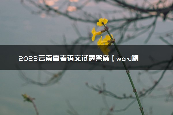 2023云南高考语文试题答案【word精校版】