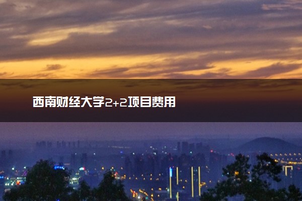 西南财经大学2+2项目费用