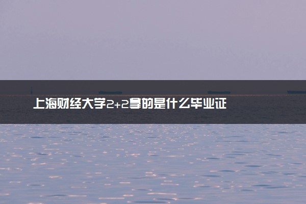 上海财经大学2+2拿的是什么毕业证