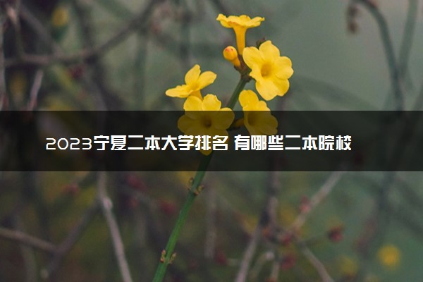 2023宁夏二本大学排名 有哪些二本院校【完整版】