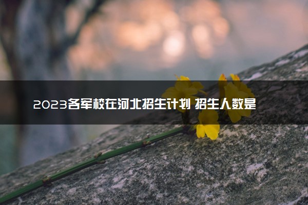 2023各军校在河北招生计划 招生人数是多少