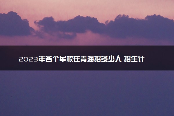 2023年各个军校在青海招多少人 招生计划及人数