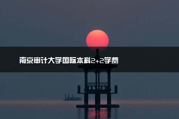 南京审计大学国际本科2+2学费