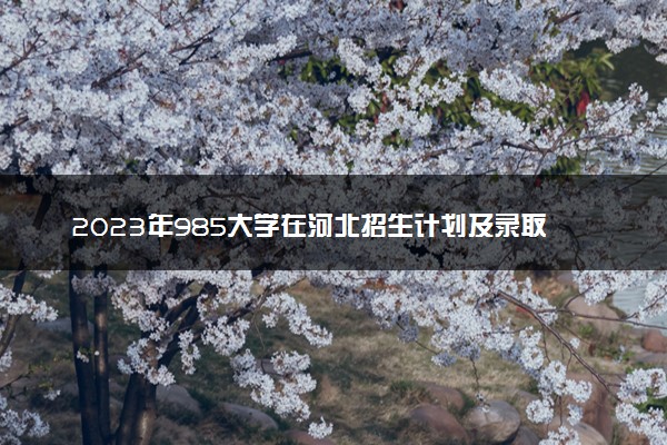 2023年985大学在河北招生计划及录取分数线