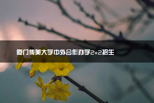 厦门集美大学中外合作办学2+2招生