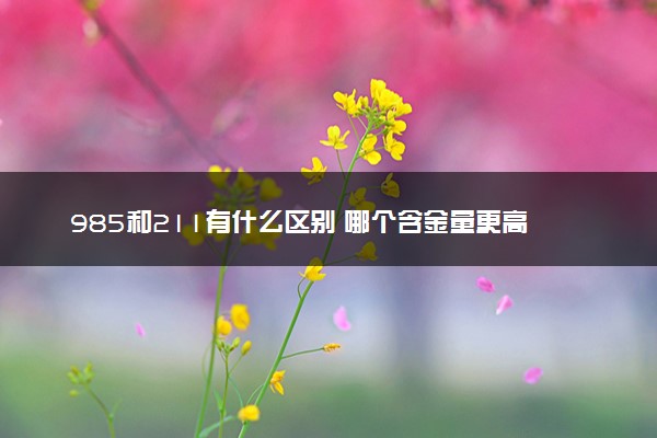 985和211有什么区别 哪个含金量更高