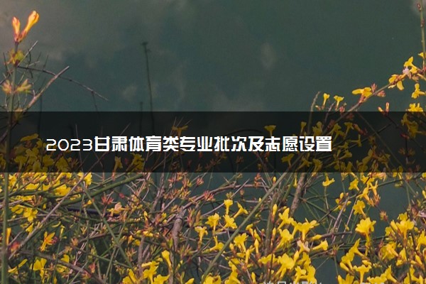 2023甘肃体育类专业批次及志愿设置
