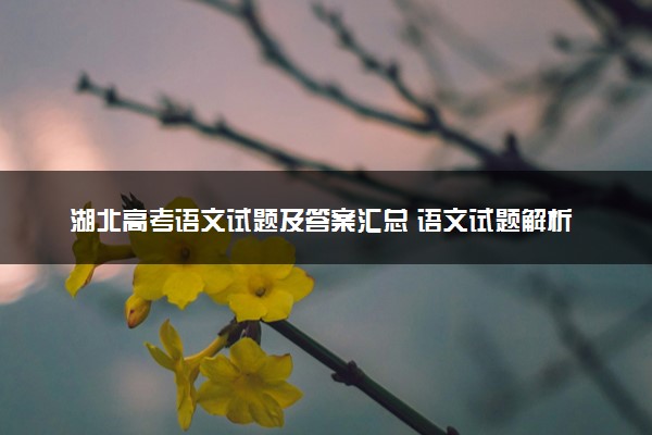 湖北高考语文试题及答案汇总 语文试题解析