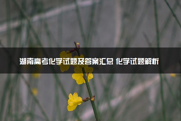 湖南高考化学试题及答案汇总 化学试题解析