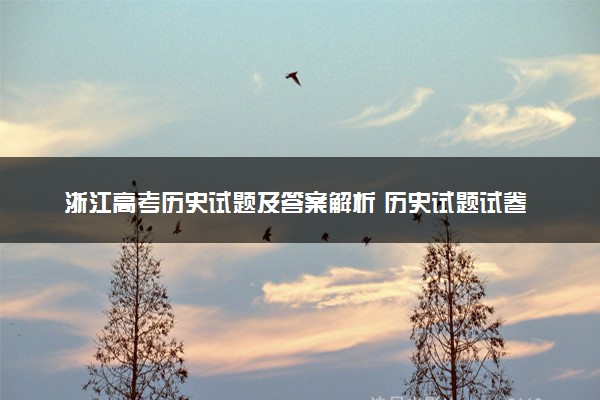 浙江高考历史试题及答案解析 历史试题试卷