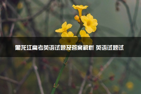 黑龙江高考英语试题及答案解析 英语试题试卷