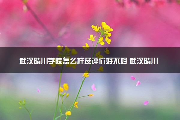 武汉晴川学院怎么样及评价好不好 武汉晴川学院口碑如何