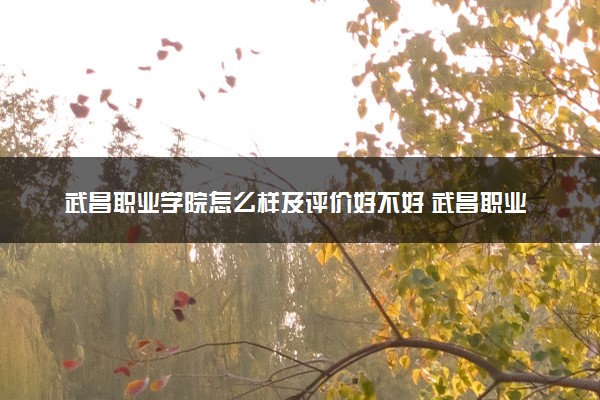 武昌职业学院怎么样及评价好不好 武昌职业学院口碑如何