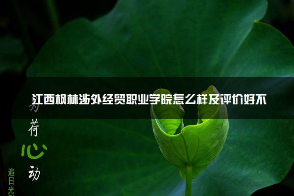 江西枫林涉外经贸职业学院怎么样及评价好不好 江西枫林涉外经贸职业学院口碑如何