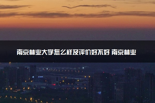 南京林业大学怎么样及评价好不好 南京林业大学口碑如何