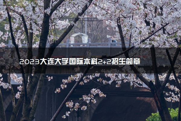 2023大连大学国际本科2+2招生简章