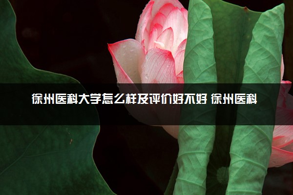徐州医科大学怎么样及评价好不好 徐州医科大学口碑如何